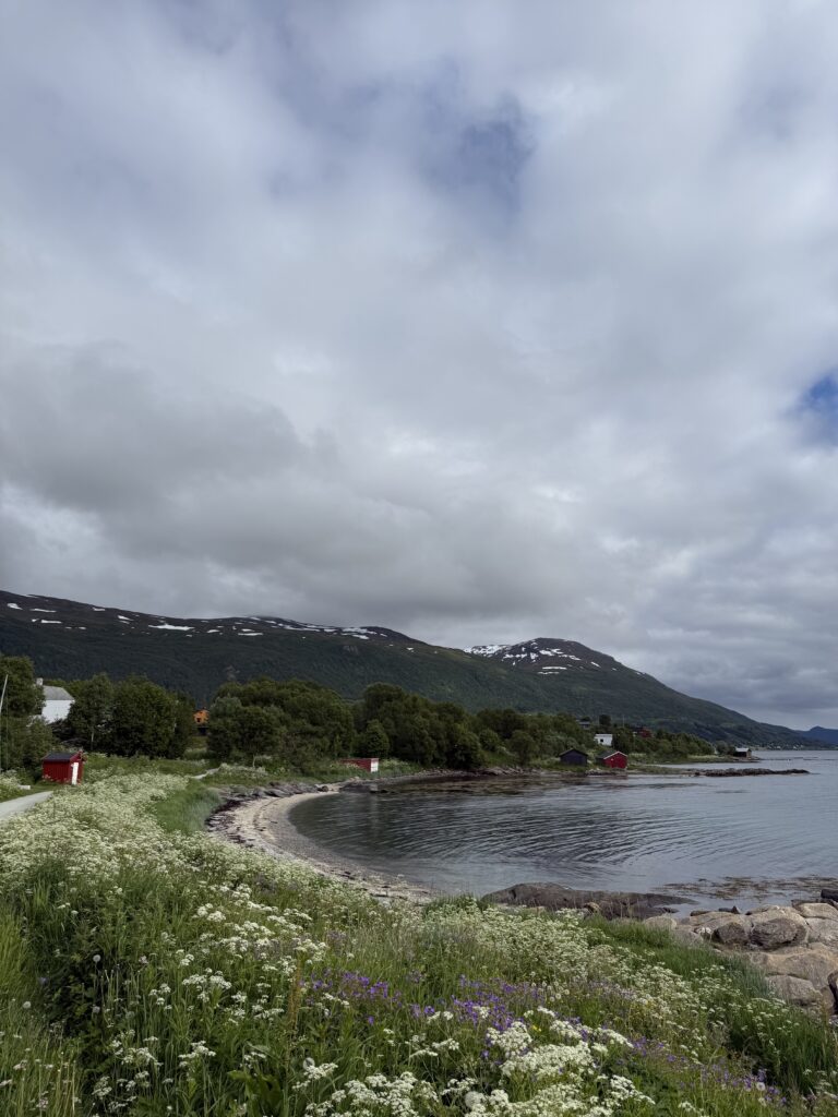 Greetings from our researchers from the NORSIL seminar in Tromsø
