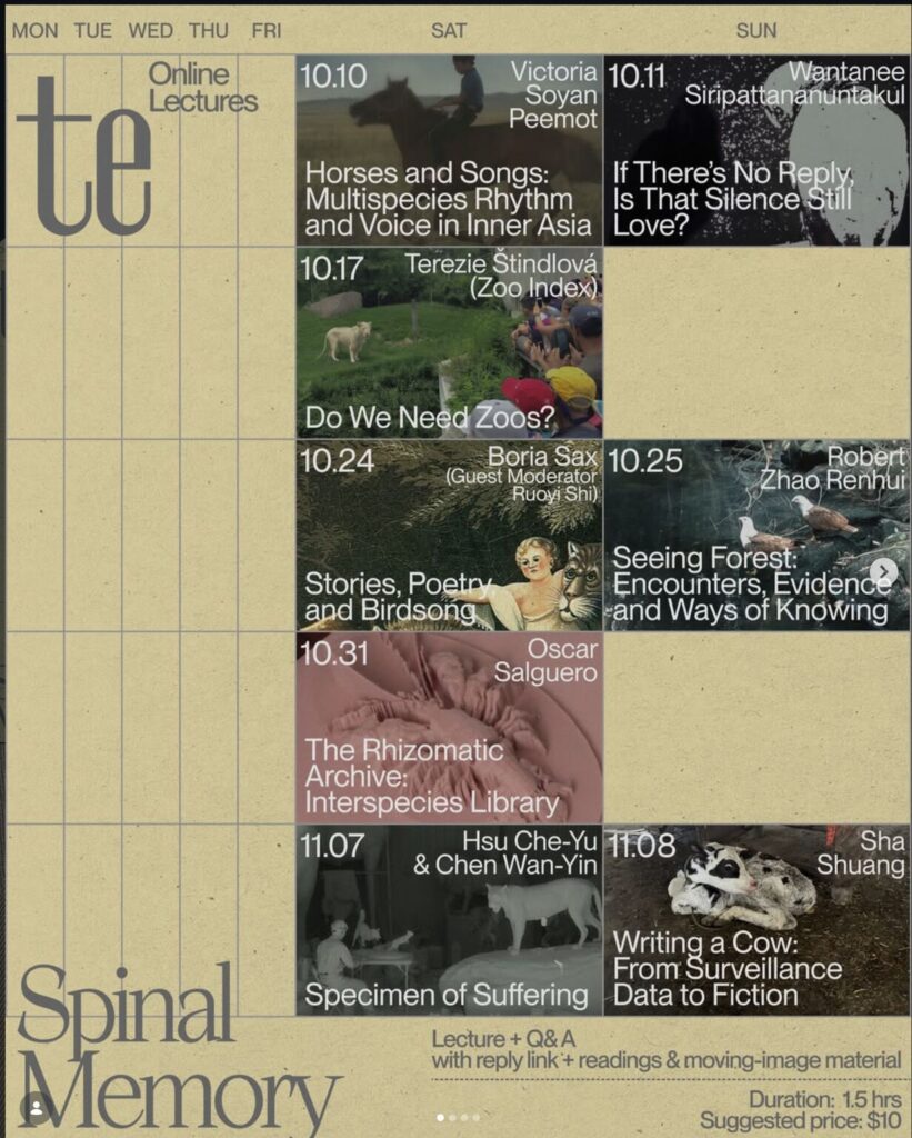 Victoria Peemot presents in the Spinal Memory online lecture series